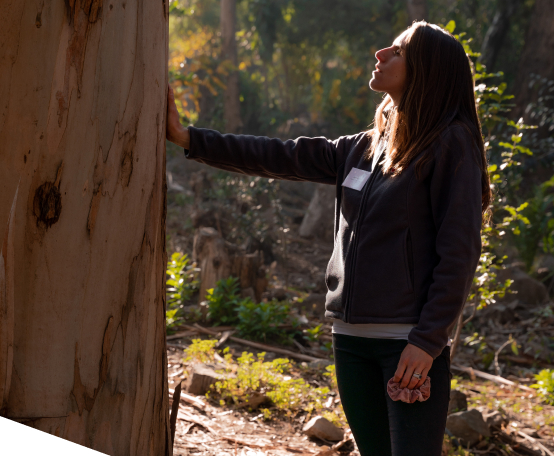 Mujer tocando un arbol